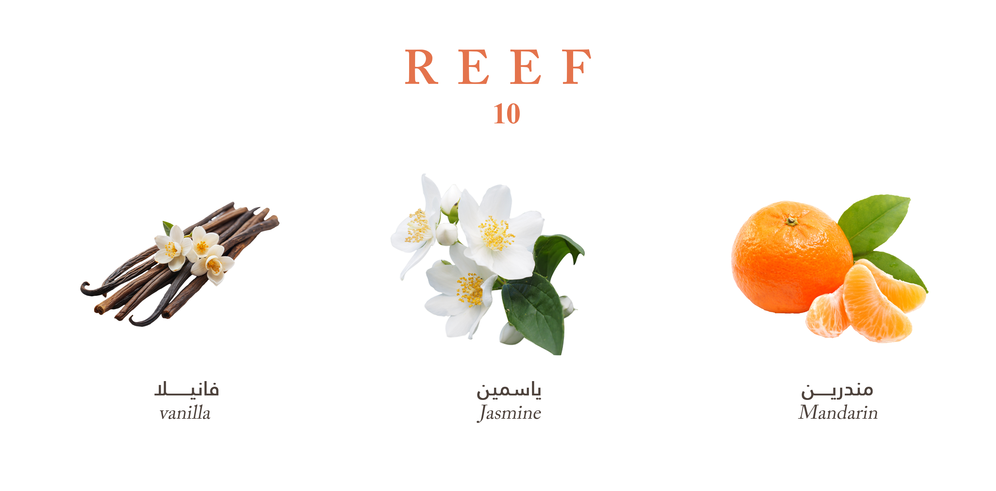 Reef 10