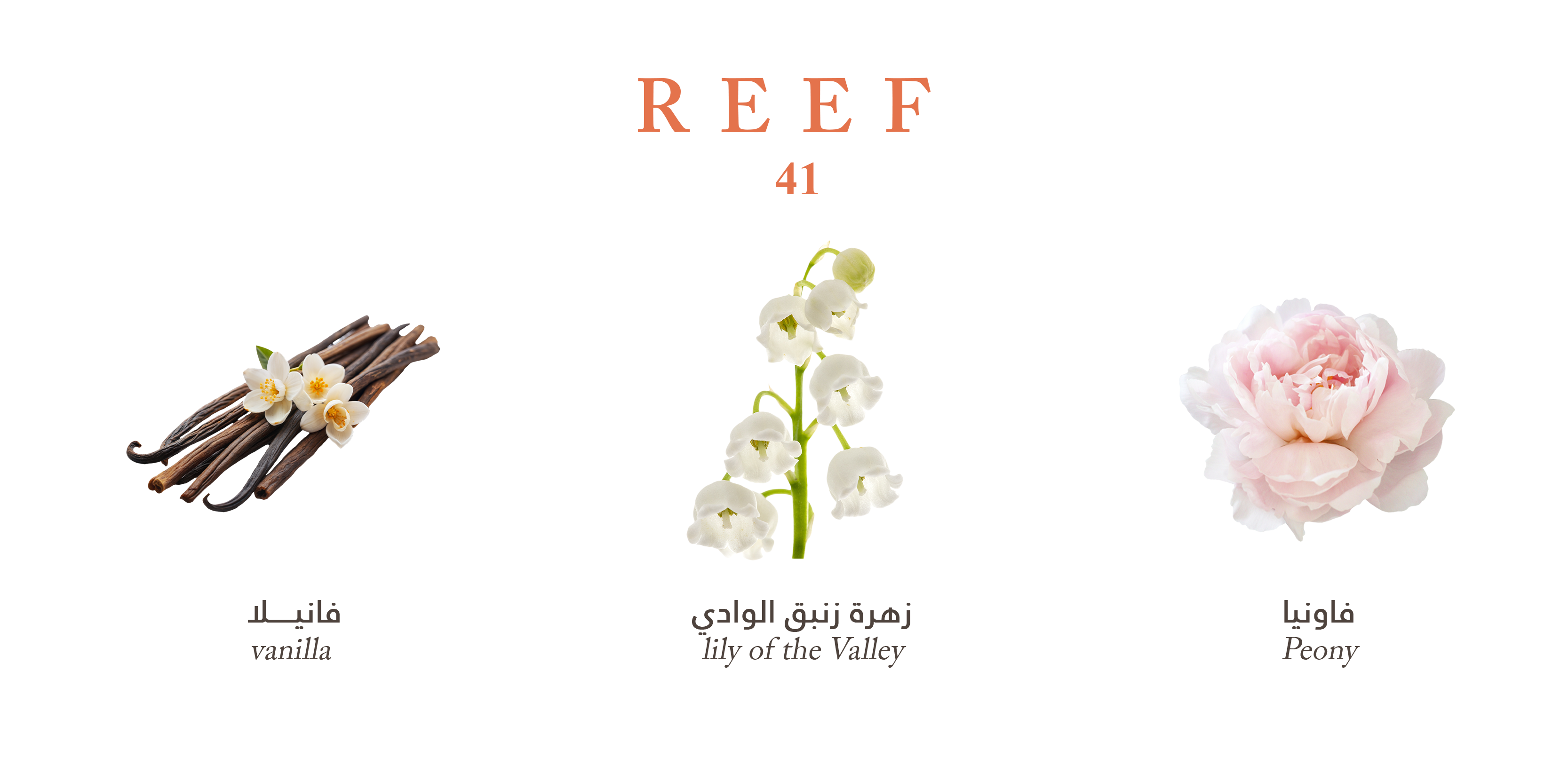 Reef 41